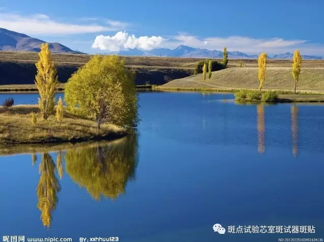 QQ圖片20180516161919.png
