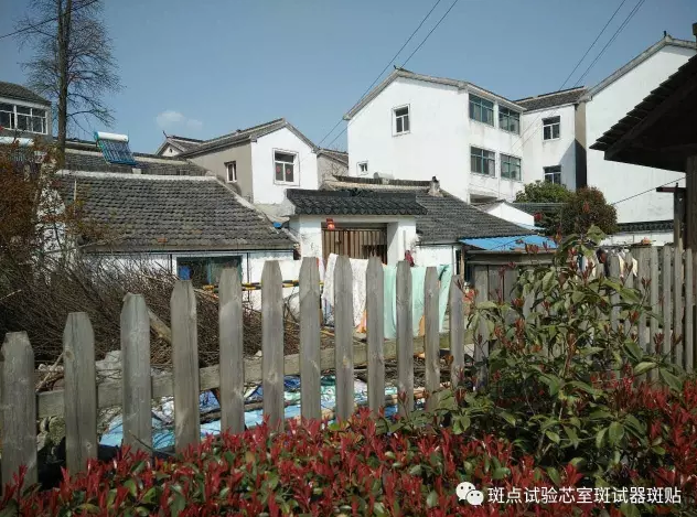 QQ圖片20180517152403.png