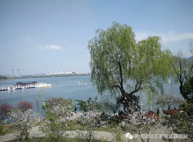 QQ圖片20180517152740.png