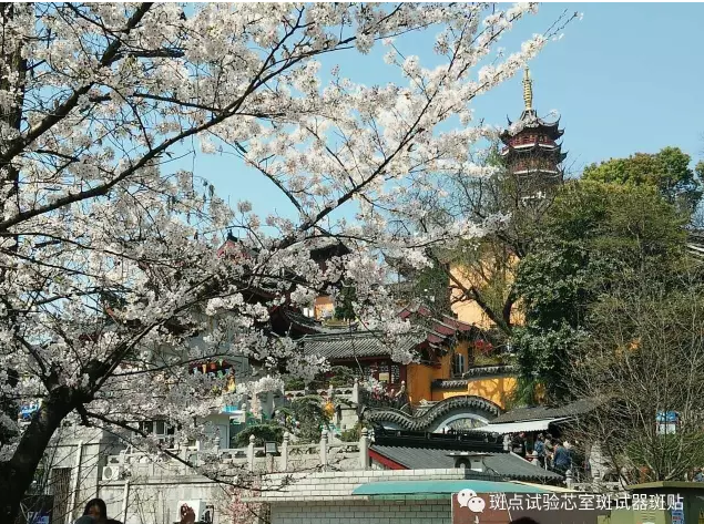 QQ圖片20180517152426.png