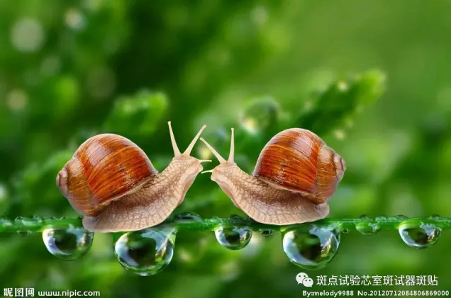 QQ圖片20180517154048.png