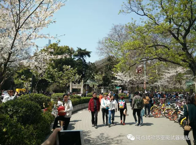 QQ圖片20180517153257.png